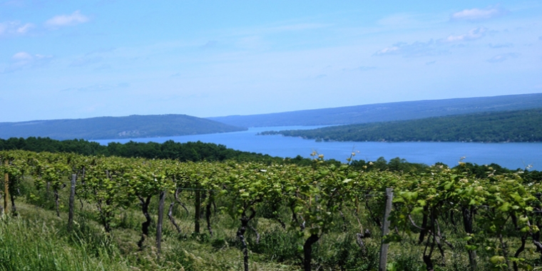 Finger Lakes earns "Best Wine Region" for the second consecutive year.