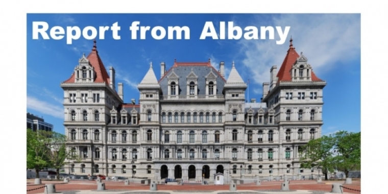 Report from Albany