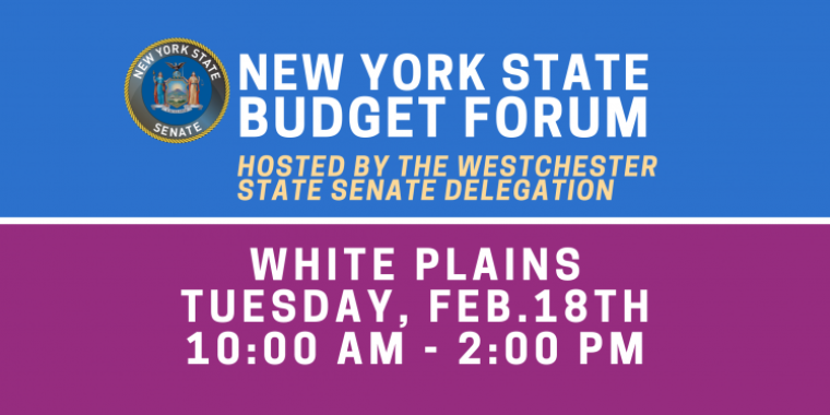 White Plains Budget Forum