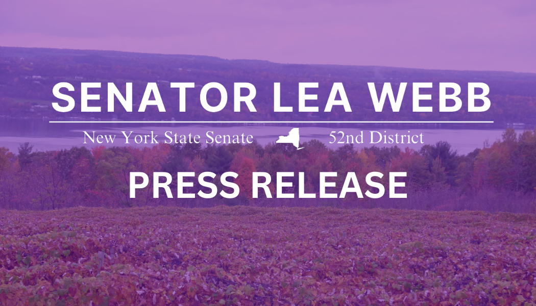 Senator Lea Webb Announces Historic Funding for Southern Tier in Senate