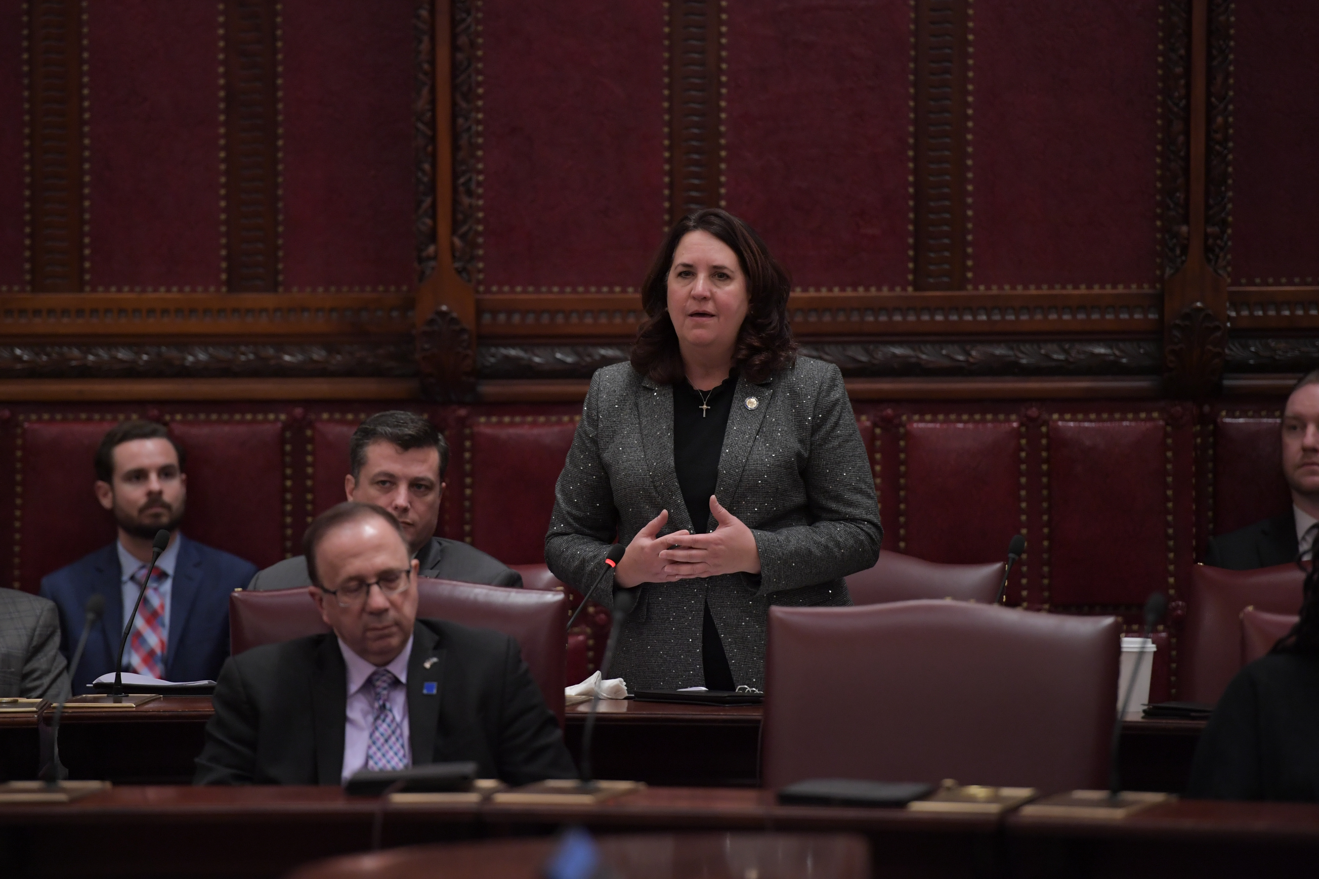 Statement From Senator Canzoneri-Fitzpatrick On Governor Hochul’s State ...