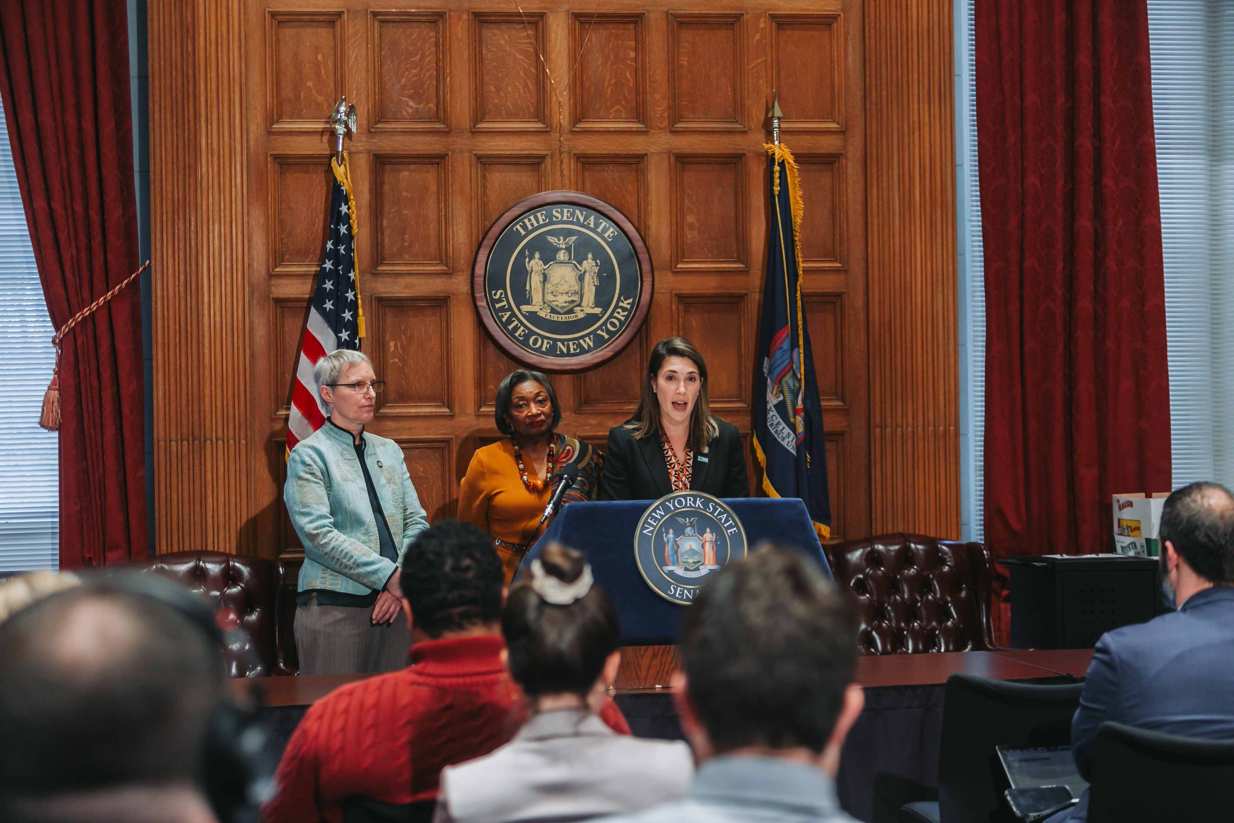 Three Hinchey Bills Pass Senate Legislative Package to Support New York