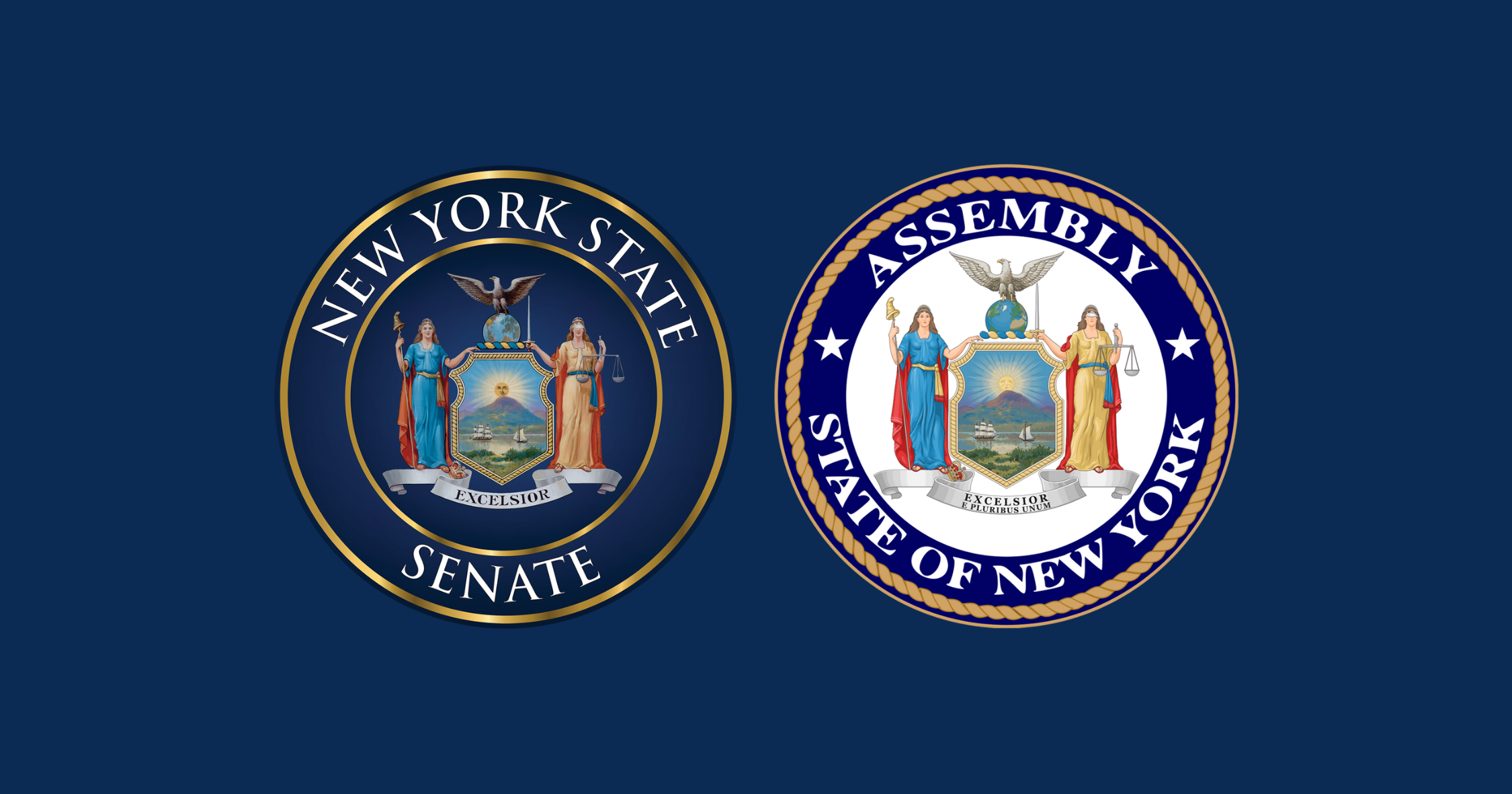 Senator Michelle Hinchey and Assemblyman Anil Beephan Oppose Dover