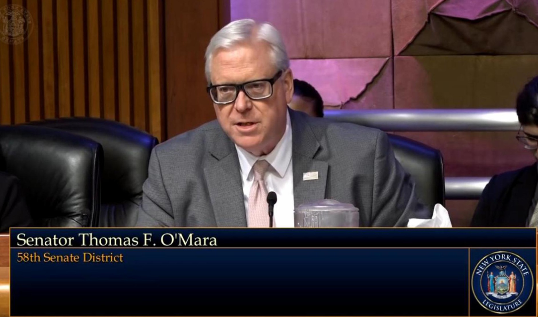 Senate Mental Health Hearing Highlights What Must Change
