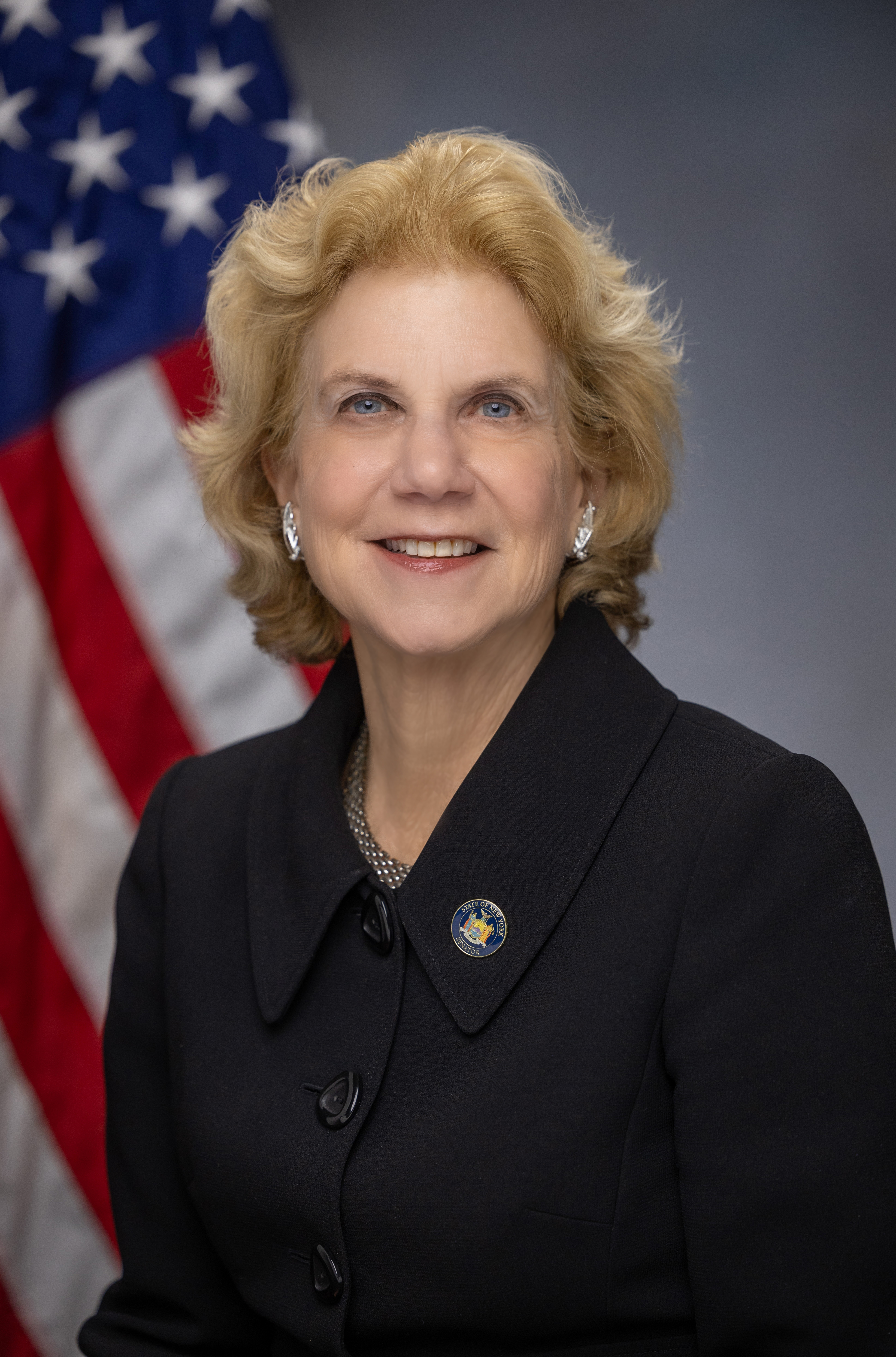 Senator Shelley Mayer 2026 HS