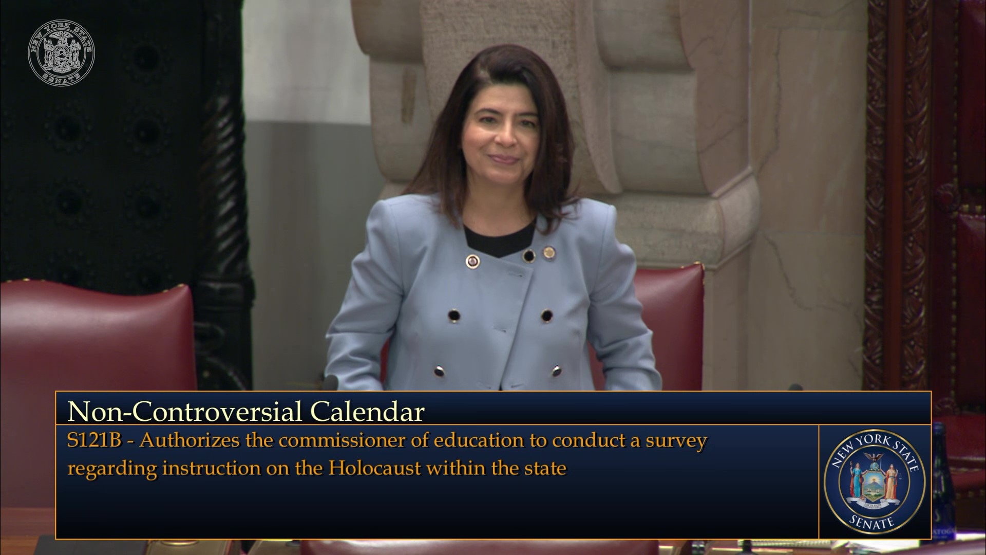 5.25.22_senator_anna_kaplan_speaks_on_the_passage_of_the_holocaust_education_bill_s.121.jpg