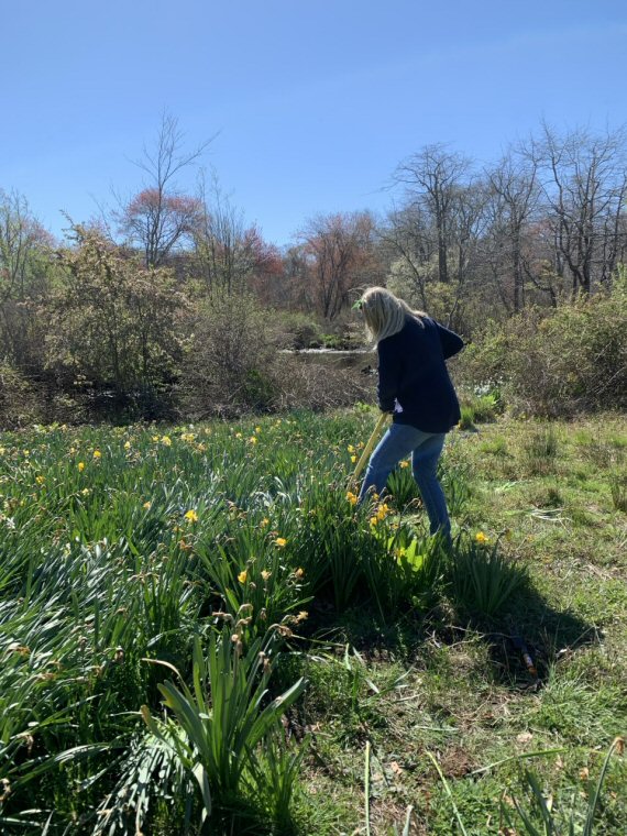 Heckscher State Park Volunteers