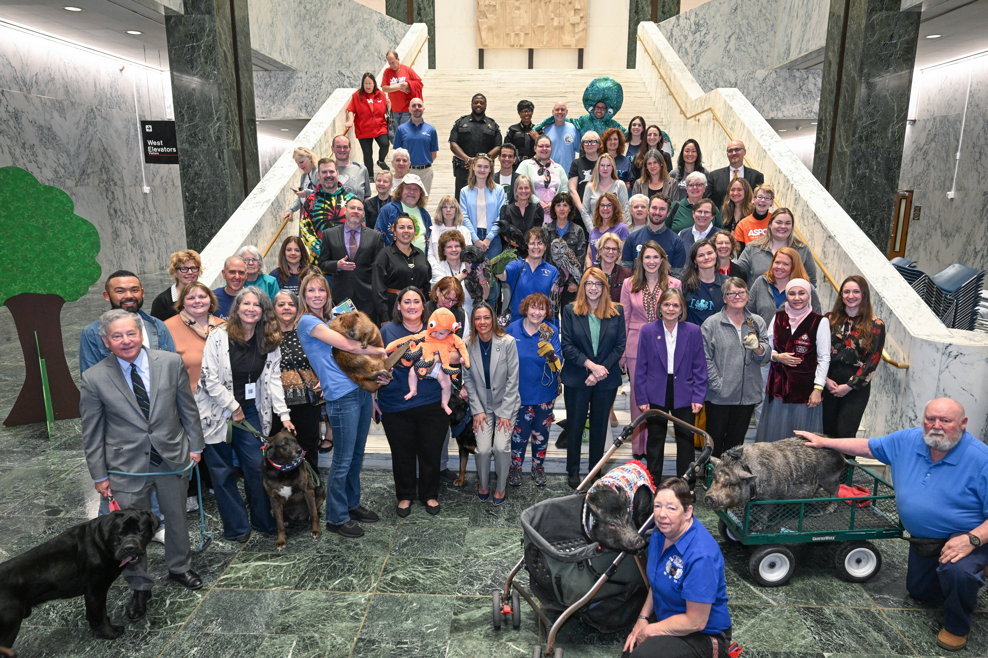 Participants of Animal Advocacy Day pose for a photo in a stairwell. 
