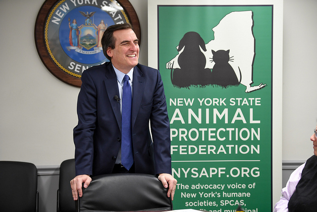 Assemblymember Linda B. Rosenthal, State Senator Michael Gianaris ...