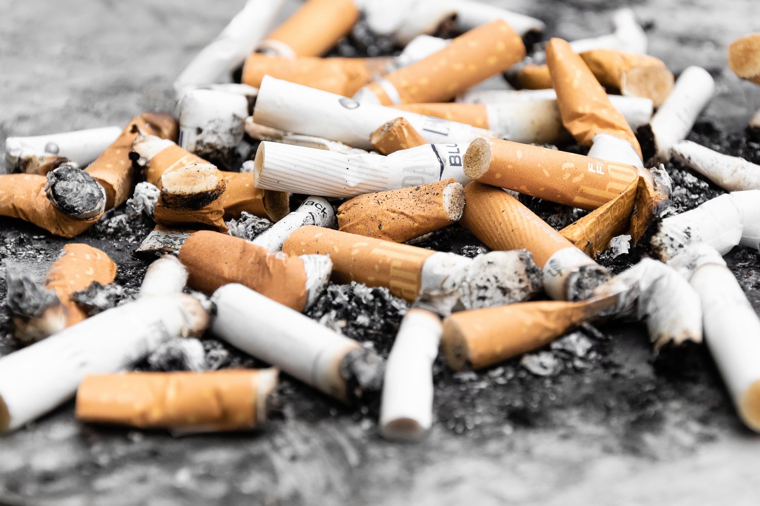 Krueger Kaminsky Jaffee Introduce Bill To Ban Cigarette Filters Ny State Senate