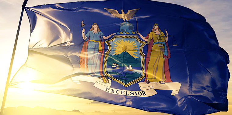 Senate Passes John R. Lewis Voting Rights Act of New York - Vimarsana News