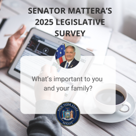 Senator Mattera's 2025 Legislative Survey