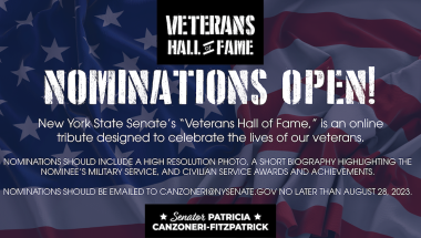Nominations are NOW OPEN for the State Senate's VETERANS HALL OF FAME! 