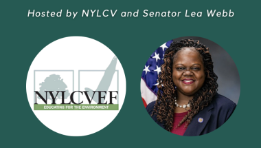 Breaking Down the Inflation Reduction Act: A Webinar Breaking Down the Inflation Reduction Act: A Webinar
