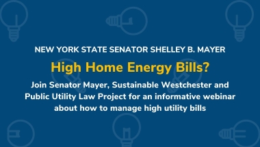 What Can I Do About My High Home Energy Bills? Utility Webinar Heading