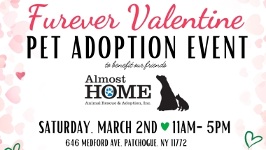 Furever Valentine Pet Adoption Event NYS Senator Dean Murray along with fellow colleagues Congressman Andrew Garbarino, NYS Assemblyman Jarett Gandolfo & Joe DeStefano in supporting the 4th Annual Furever Valentine Pet Adoption Event to benefit our friends at Almost Home Animal Rescue and Adoption, Inc. located at 646 Medford Avenue, Patchogue, NY 11772. Please stop down on Saturday, March 2, 2024, from 11:00am to 5:00pm to adopt a pet and provide them a warm and loving home they deserve.