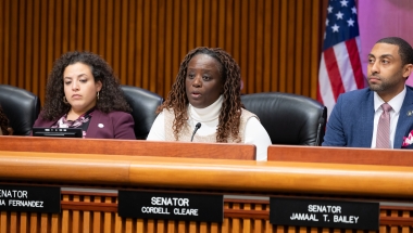 Sen. Cleare at Health Budget Council