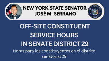 Constituent Service Hours