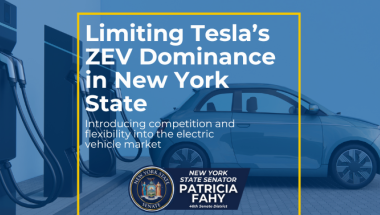 Electric vehicle overlayed with text "Limiting Tesla's ZEV Dominance"