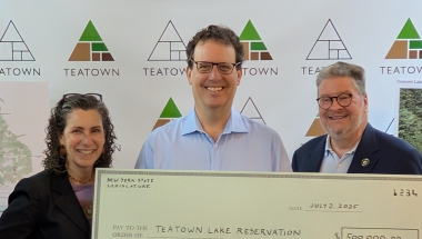 Teatown
