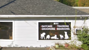 Suspected Animal abuse business