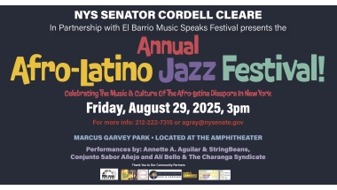 Banner for Afro Latino Festival 