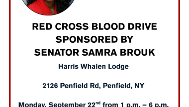 Senator Brouk and Red Cross to hold blood drive
