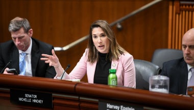 Senator Michelle Hinchey 