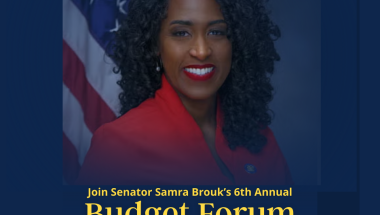 Senator Brouk's 6th Annual Budget Forum