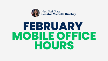Senator Michelle Hinchey 