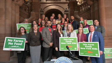 Senator Michelle Hinchey 