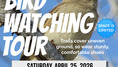 Enjoy an afternoon of birdwatching.