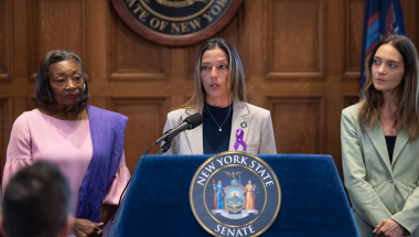 Members of the Senate Majority speak to the press about stronger domestic violence victim protections. 