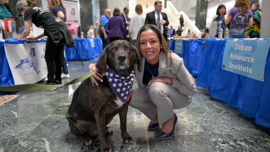 NYS Senator Monica R. Martinez pets a black dog during Animal Advocacy Day