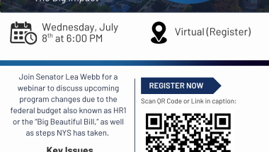 Webinar with Webb
