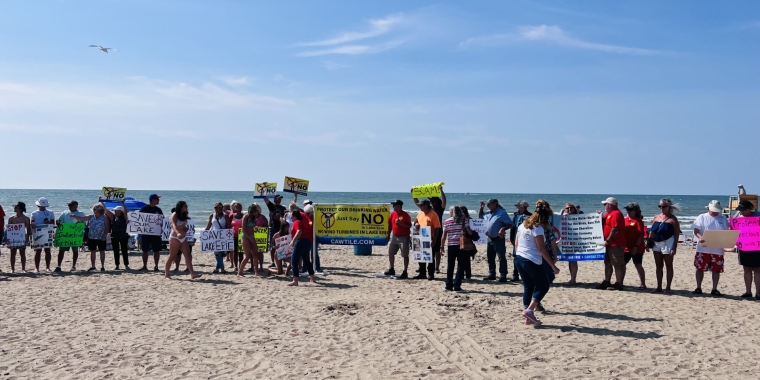 Members of CAWTILE demonstrate in front of Lake Erie