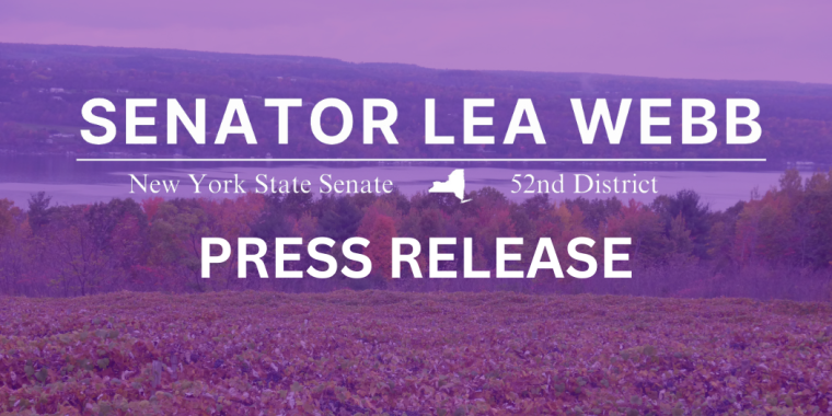 Senator Lea Webb Announces Historic Funding for Southern Tier in Senate One-House Budget Proposal 