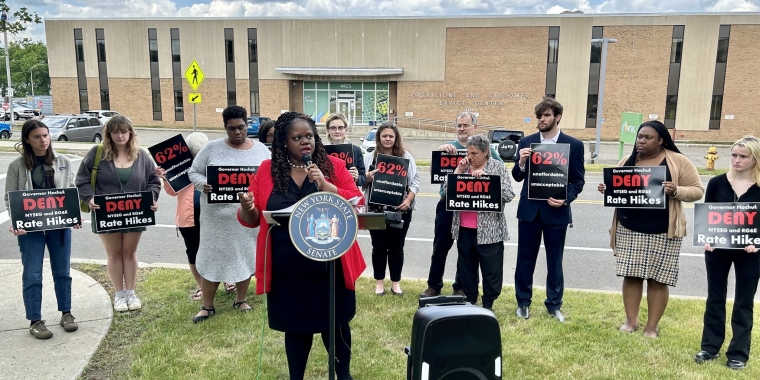 Senator Lea Webb Statement on NYSEG Rate Hike