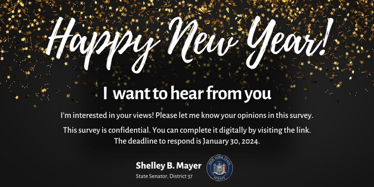 Graphic that says "Happy New Year! I want to hear from you" and directs you to the questionnaire link.
