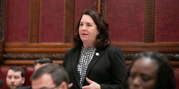 Senator Canzoneri-Fitzpatrick responds to Governor Hochul’s 2025 Executive Budget Proposal