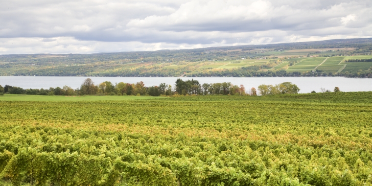 Finger Lake