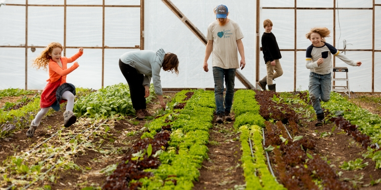 Farmers tend to greenhouse crop. 