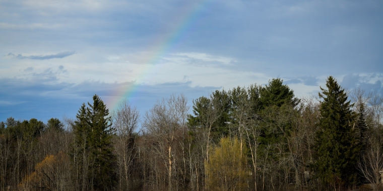 Rainbow over a forest.