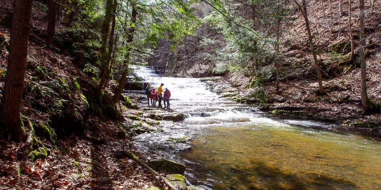 Trail in Huyck Preserve.