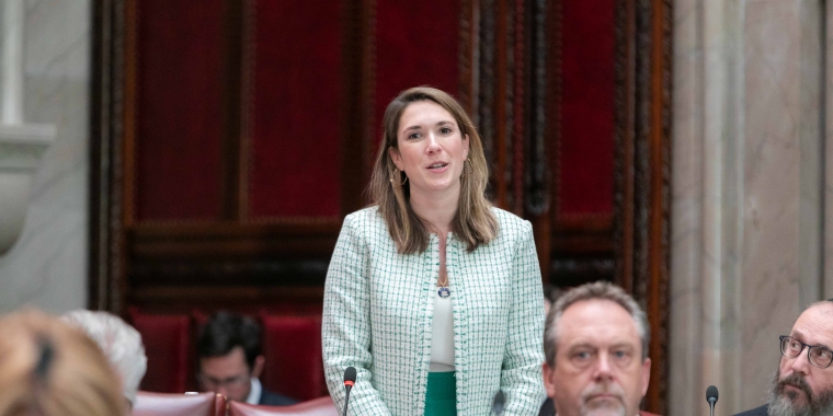 Senator Michelle Hinchey