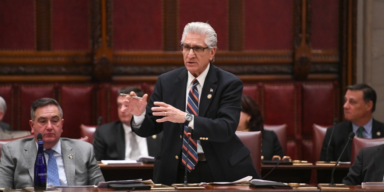 Tedisco 2025 State of the State