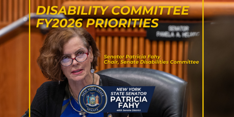 Senator Fahy's Disability Committee Priorities