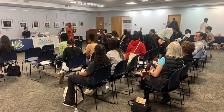 Majority Leader Andrea Stewart-Cousins hosted her Annual Social Justice Fair for members of her Youth Advisory Council (YAC) at the Greenburgh Public Library Majority Leader Andrea Stewart-Cousins hosted her Annual Social Justice Fair for members of her Youth Advisory Council (YAC) at the Greenburgh Public Library