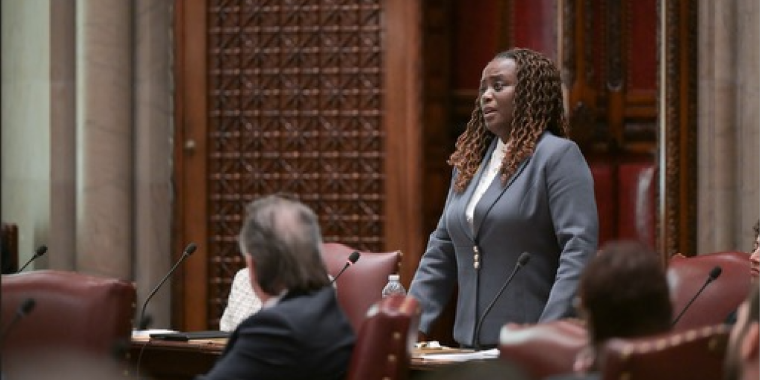 Senator Cleare speaking in Senate Session, Credit: Senate Photography Sen Cleare speaking in Senate session