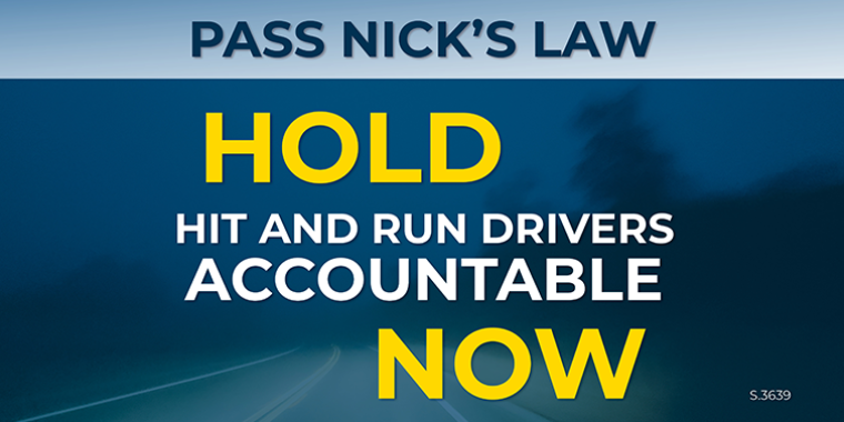 Nick's Law Petition